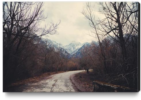Road with mountain III Canvas Print by Salvatore Russolillo