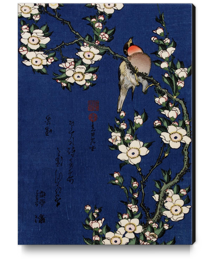 Robin on a Branch of Cherry Blossom Canvas Print by Katsushika Hokusai