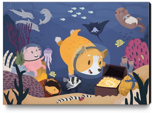 Diving For Treasure Canvas Print by Claire Jayne Stamper