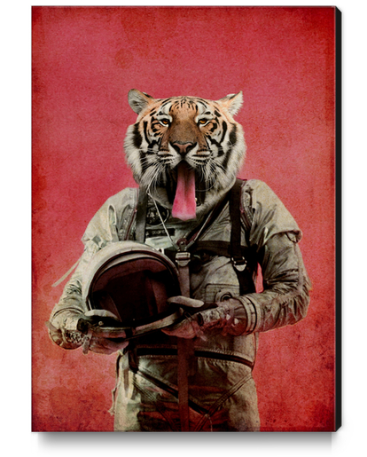Space tiger Canvas Print by durro art