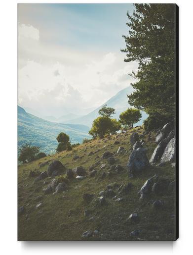 Stones from the ground Canvas Print by Salvatore Russolillo