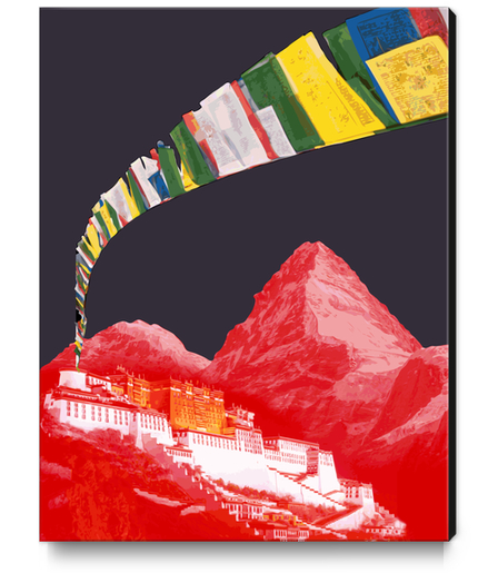 Lhasa Canvas Print by Vic Storia