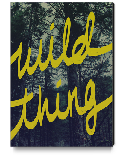 Wild Thing Canvas Print by Leah Flores
