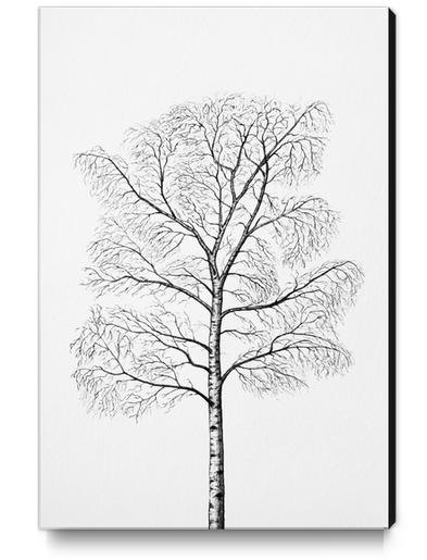 Tree Canvas Print by Nika_Akin