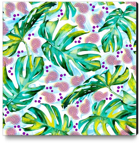 Tropical leaf and fruits Canvas Print by mmartabc