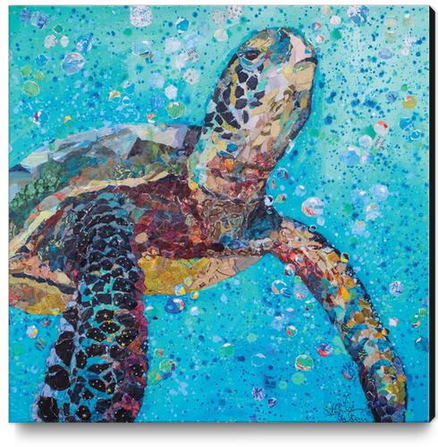 Water Baby Canvas Print by Elizabeth St. Hilaire