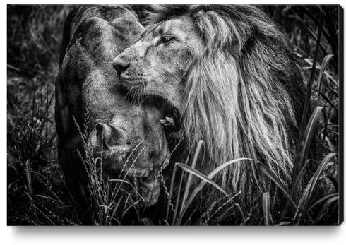 And you will be Queen Canvas Print by Traven Milovich