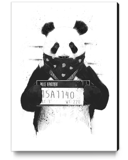 Bad panda Canvas Print by Balazs Solti