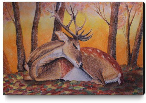 Autumnal deer Canvas Print by GiuliaLauren