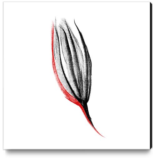 Red Flower Canvas Print by cinema4design