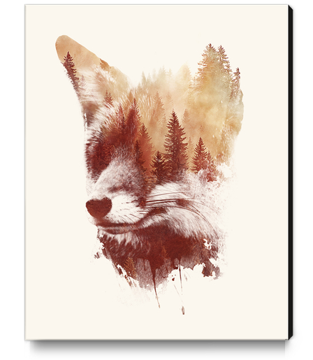 Blind Fox Canvas Print by Robert Farkas