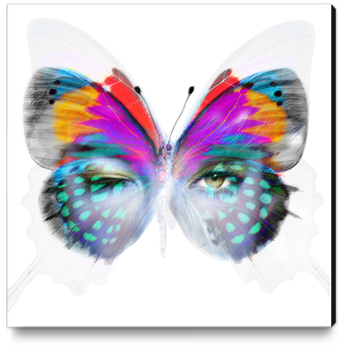 Masque Papillon Canvas Print by Vic Storia