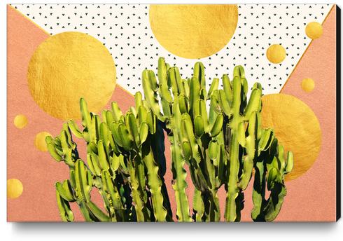 Cactus Dream Canvas Print by Uma Gokhale