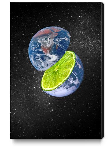 earth zest Canvas Print by tzigone