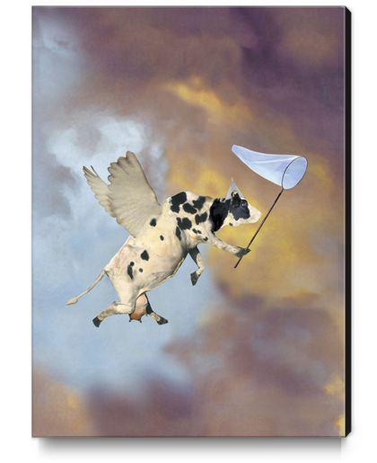 Crazy Cow Canvas Print by tzigone