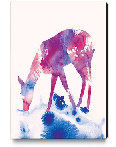 Fawn Canvas Print by Andreas Lie