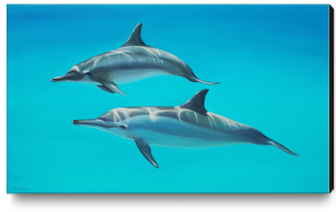 Dolphins Canvas Print by di-tommaso