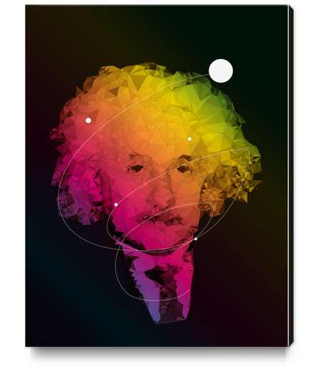 Einstein Canvas Print by Vic Storia