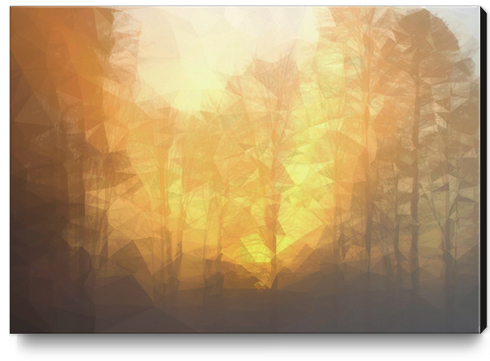 Forest in the sunrise Canvas Print by Vic Storia
