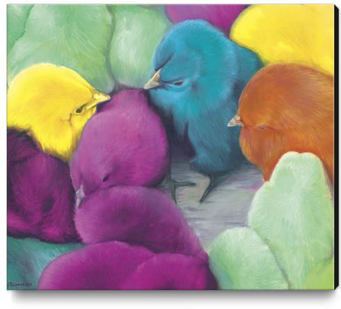 Chicks III Canvas Print by di-tommaso