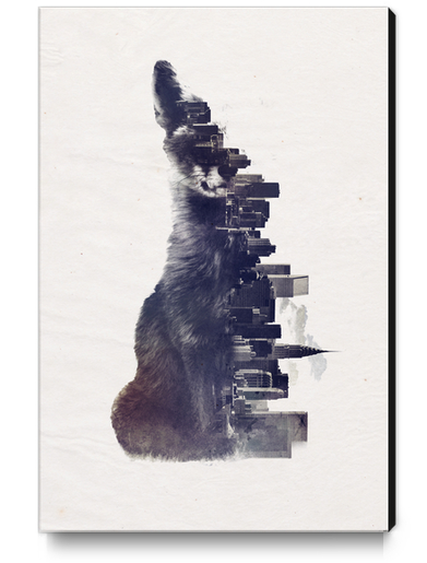 Fox from the city Canvas Print by Robert Farkas