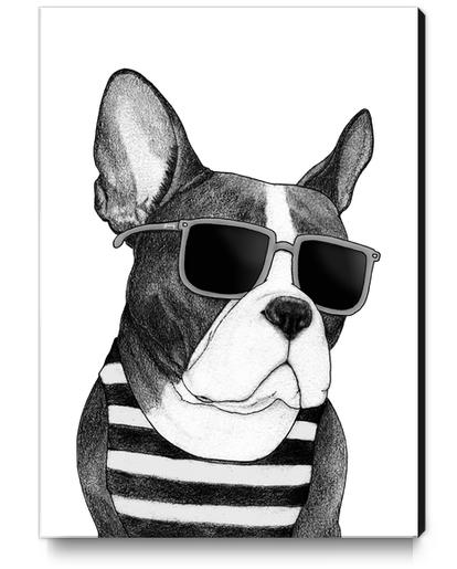 Frenchie Summer Style bw Canvas Print by Barruf
