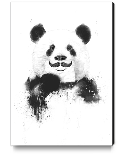 Funny panda Canvas Print by Balazs Solti