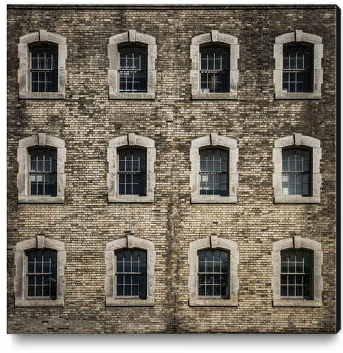 Geometry No 23 Color Version Canvas Print by The Learning Curve Photography