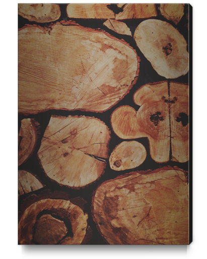 Lumberjack Canvas Print by Leah Flores