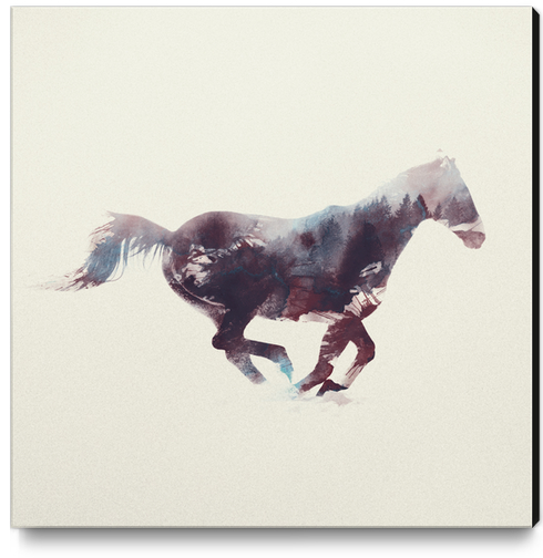 Horse Canvas Print by Andreas Lie