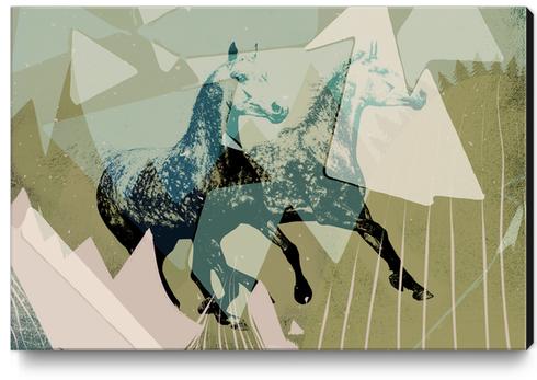 On the run Canvas Print by inkycubans