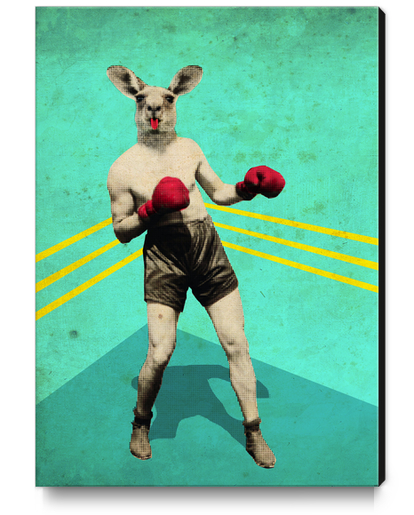Kang-boxing Canvas Print by tzigone