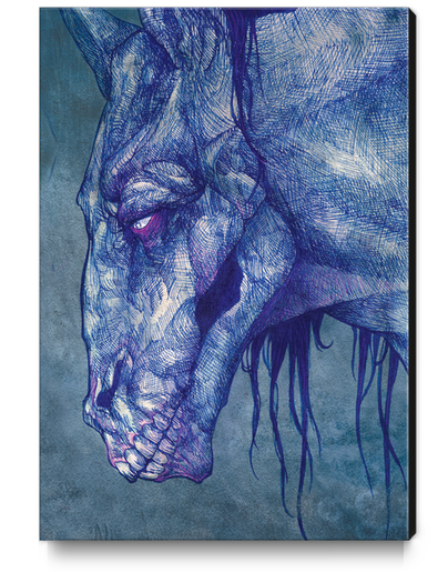 Kelpie Canvas Print by Alice Holleman