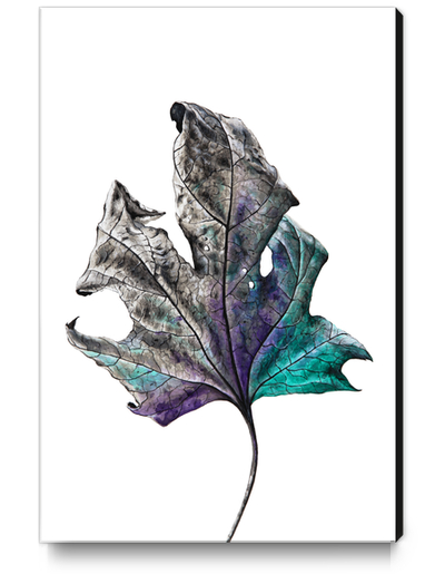 Leaf Canvas Print by Nika_Akin