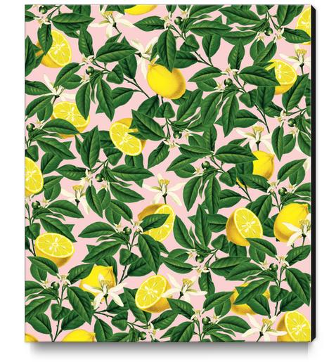 Lemonade Canvas Print by Uma Gokhale