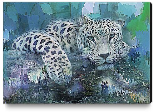 Leopard Canvas Print by Galen Valle