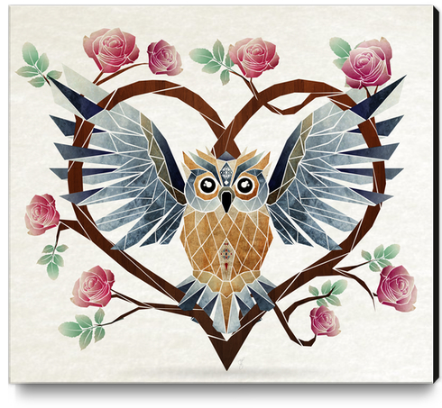 lovely owl Canvas Print by Manoou