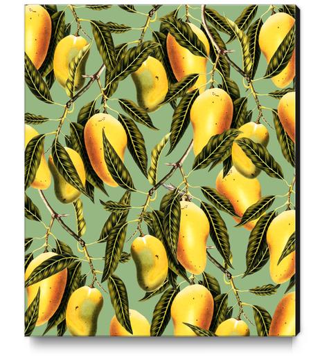 Mango Season Canvas Print by Uma Gokhale