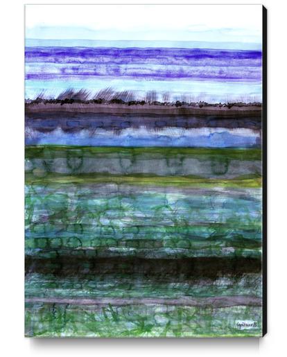 Wetland  Canvas Print by Heidi Capitaine