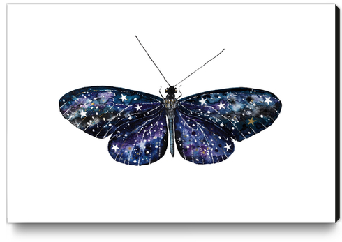 Butterfly Canvas Print by Nika_Akin