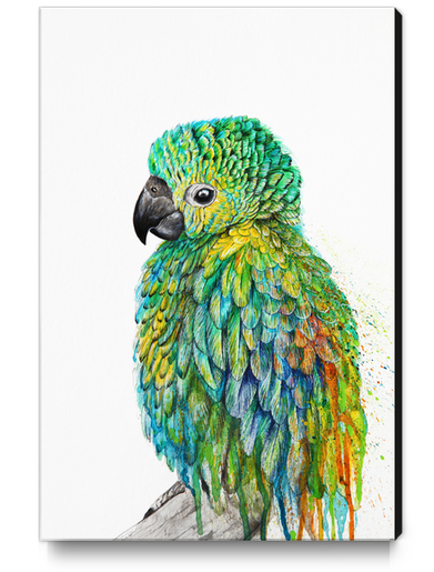 Parrot Canvas Print by Nika_Akin