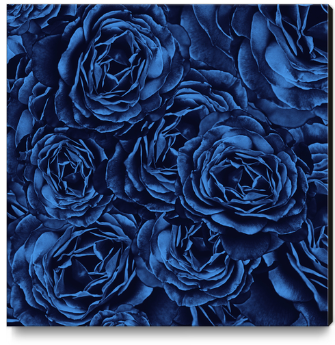 Enchanted Garden - Passion Roses Canvas Print by Octavia Soldani