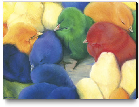 Chicks Canvas Print by di-tommaso