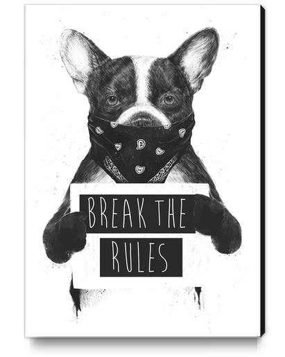Rebel dog Canvas Print by Balazs Solti