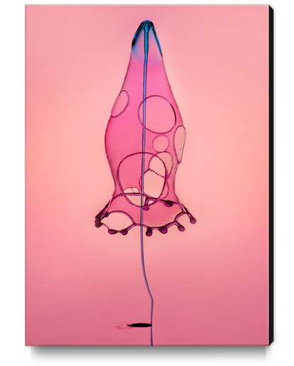 Pink Rocket Canvas Print by Jarek Blaminsky