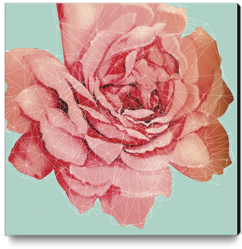 Rose construction Canvas Print by Vic Storia