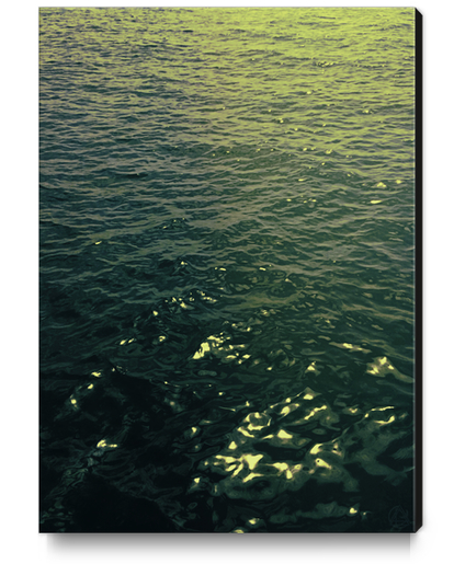 Mar Canvas Print by Seamless