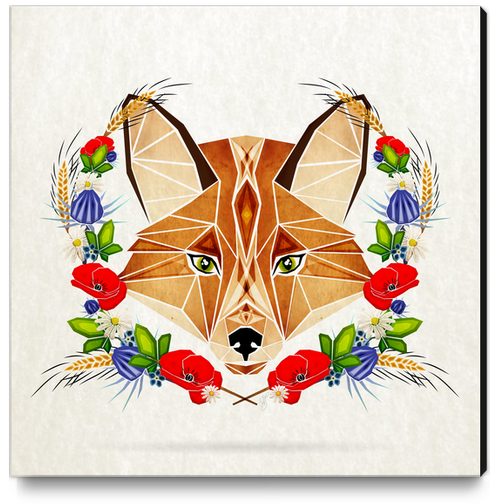 spring fox Canvas Print by Manoou