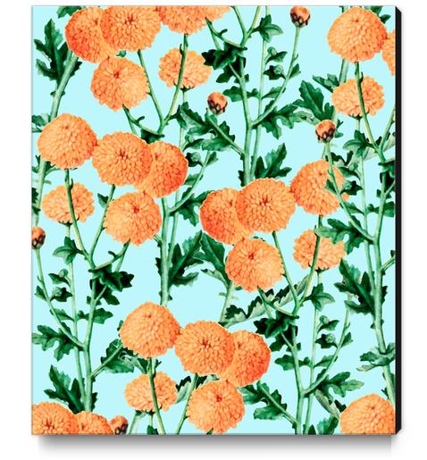 Summer Bloom Canvas Print by Uma Gokhale