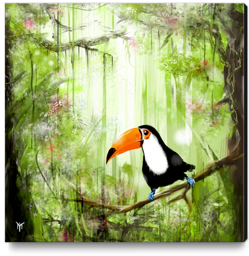 tucan forest Canvas Print by martinskowsky